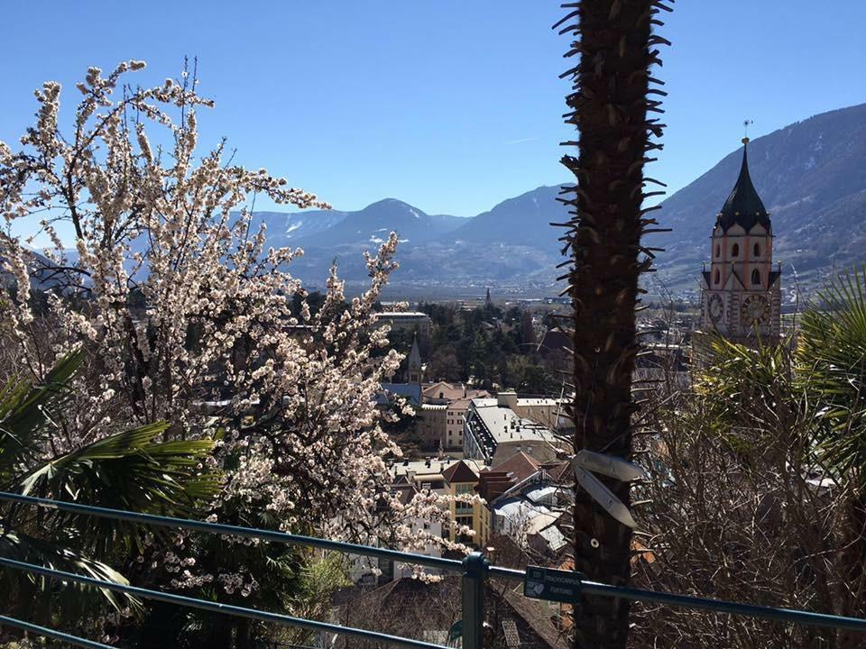 Apartamento M-loft Merangardenvilla